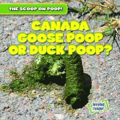 Colin Matthews - Canada Goose Poop or Duck Poop?, Häftad