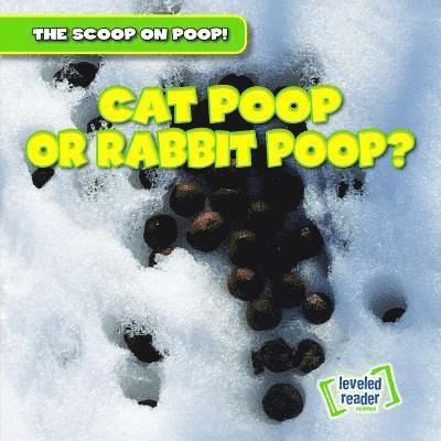 Colin Matthews - Cat Poop or Rabbit Poop?, Häftad