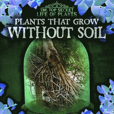 Janey Levy - Plants That Grow Without Soil, Inbunden