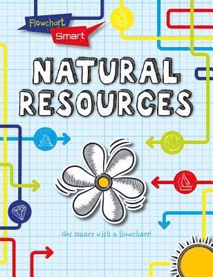 Richard Spilsbury, Louise A. Spilsbury - Natural Resources, Häftad