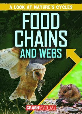 Bray Jacobson - Food Chains and Webs, Häftad