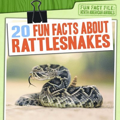 Natalie Humphrey - 20 Fun Facts about Rattlesnakes, Häftad