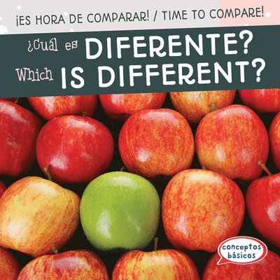 Jagger Youssef - ¿Cuál Es Diferente? / Which Is Different?, Inbunden