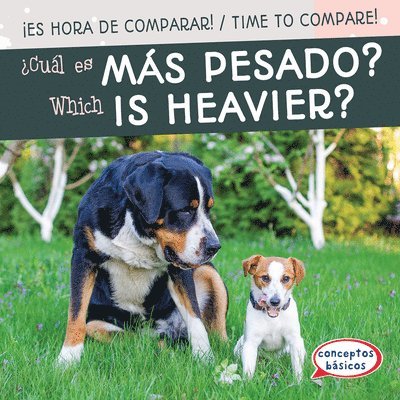 Jagger Youssef - ¿Cuál Es Más Pesado? / Which Is Heavier?, Inbunden