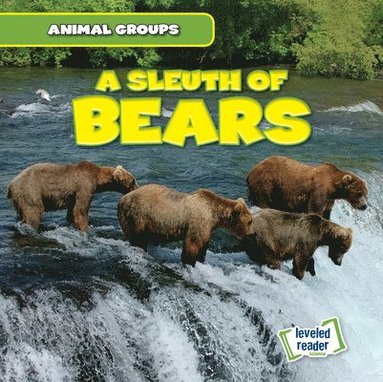 bokomslag A Sleuth of Bears