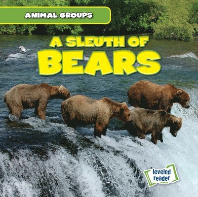 Seth Lynch - A Sleuth of Bears, Inbunden. Tillgänglighet: Lägg i varukorg
