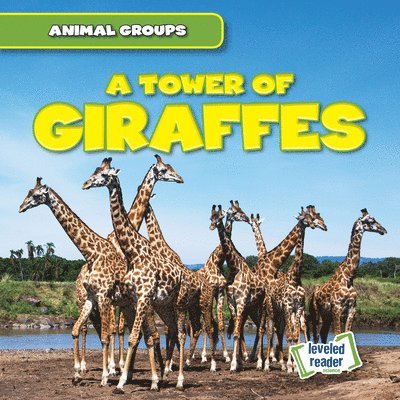 Seth Lynch - A Tower of Giraffes, Inbunden. Tillgänglighet: Lägg i varukorg