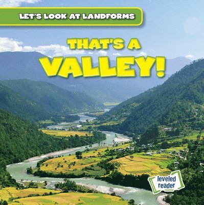 Dwayne Hicks - That's a Valley!, Häftad