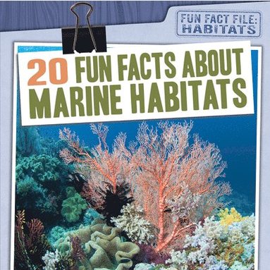 bokomslag 20 Fun Facts about Marine Habitats