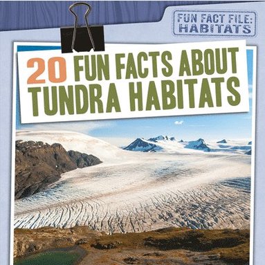 bokomslag 20 Fun Facts about Tundra Habitats