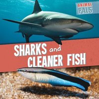 bokomslag Sharks and Cleaner Fish