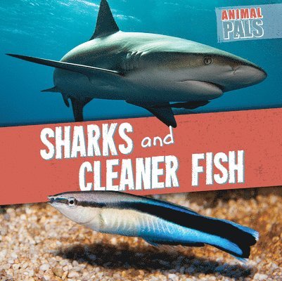 Sharks and Cleaner Fish 1