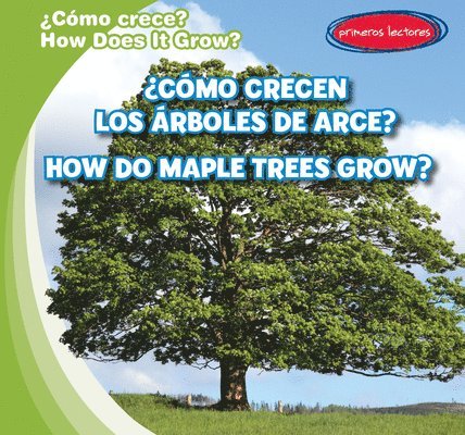 Kathleen Connors - ¿Cómo Crecen Los Árboles de Arce? / How Do Maple Trees Grow?, Inbunden