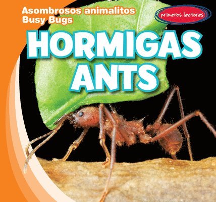 Bray Jacobson - Hormigas / Ants, Inbunden