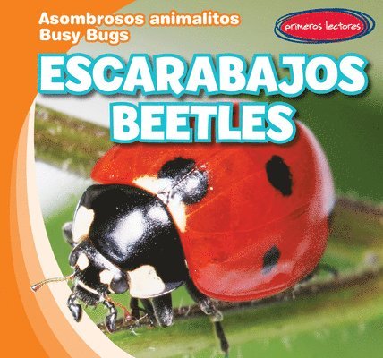 Bray Jacobson - Escarabajos / Beetles, Inbunden