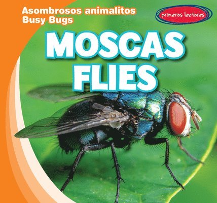 Bray Jacobson - Moscas / Flies, Inbunden. Tillgänglighet: Lägg i varukorg