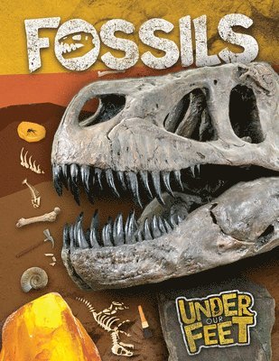 Kirsty Holmes - Fossils, Häftad. Tillgänglighet: Lägg i varukorg