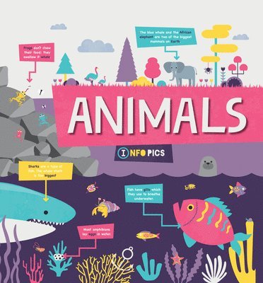 Harriet Brundle - Animals, Inbunden