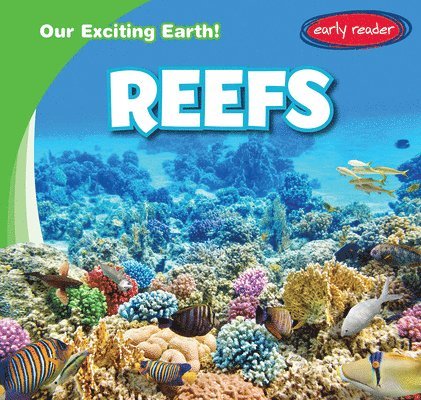 Tanner Billings - Reefs, Inbunden