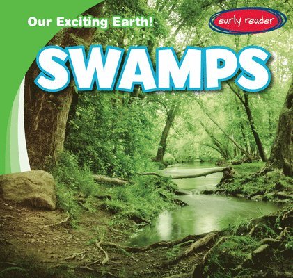 Tanner Billings - Swamps, Inbunden