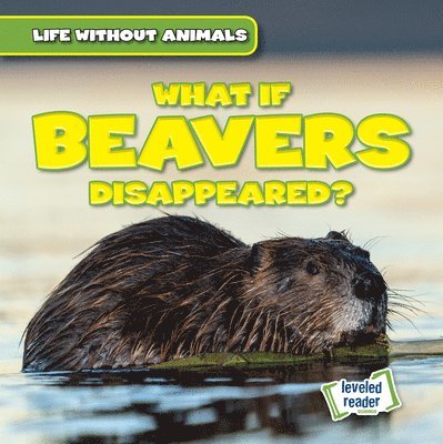 Anthony Ardely - What If Beavers Disappeared?, Inbunden