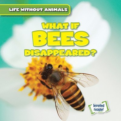 Anthony Ardely - What If Bees Disappeared?, Inbunden