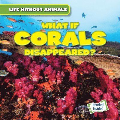 Anthony Ardely - What If Corals Disappeared?, Inbunden