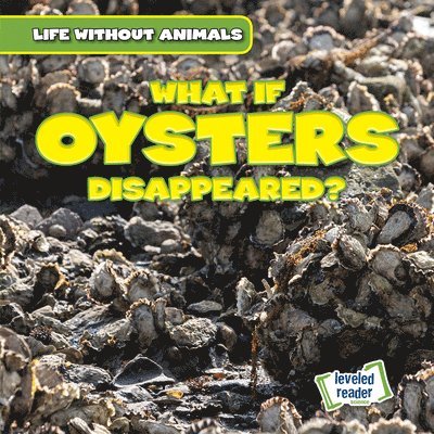 Anthony Ardely - What If Oysters Disappeared?, Inbunden