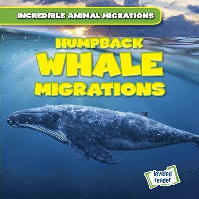 Anna McDougal - Humpback Whale Migrations, Inbunden