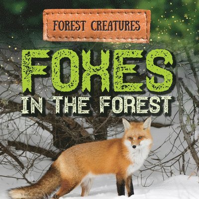 Foxes in the Forest 1