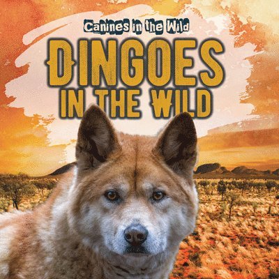 Natalie Humphrey - Dingoes in the Wild, Inbunden