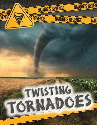 Charlotte Taylor - Twisting Tornadoes, Häftad