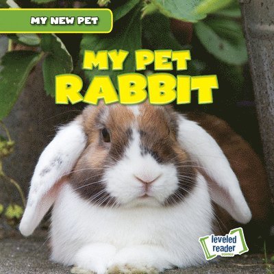 Nancy Greenwood - My Pet Rabbit, Häftad