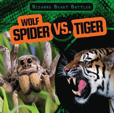 bokomslag Wolf Spider vs. Tiger