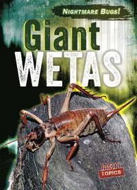 bokomslag Giant Wetas