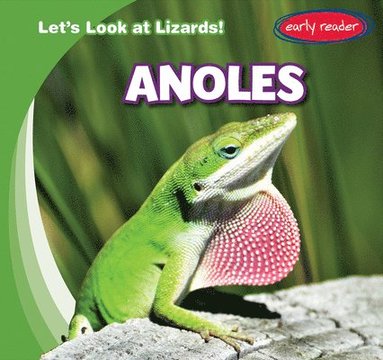 bokomslag Anoles