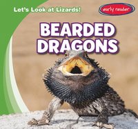 bokomslag Bearded Dragons