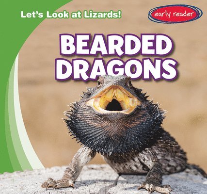 Bearded Dragons 1