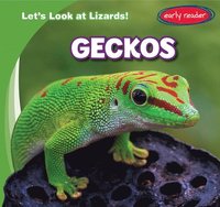 bokomslag Geckos