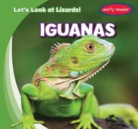 bokomslag Iguanas