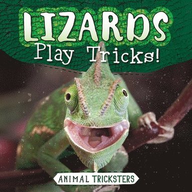 bokomslag Lizards Play Tricks!