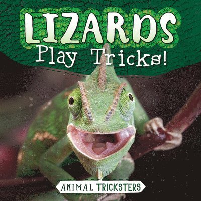 Lizards Play Tricks! 1