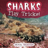 bokomslag Sharks Play Tricks!