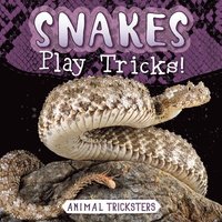 bokomslag Snakes Play Tricks!