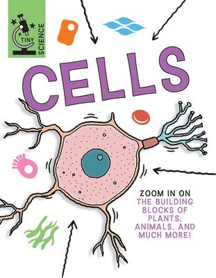 Cells 1