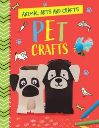 bokomslag Pet Crafts