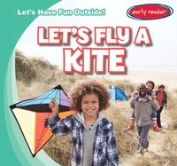bokomslag Let's Fly a Kite