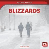 Haley Williams - Blizzards, Inbunden