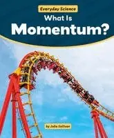 Julia Sullivan - What Is Momentum?, Häftad. Tillgänglighet: Lägg i varukorg