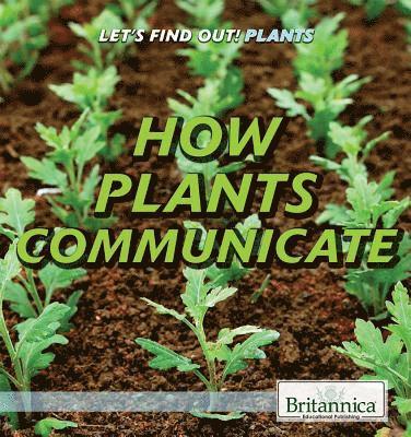 Sarah Machajewski - How Plants Communicate, Inbunden. Tillgänglighet: Lägg i varukorg